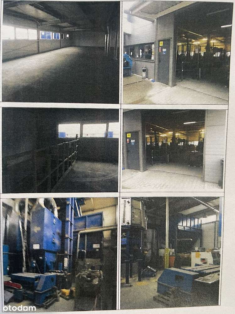 syndyk sprzeda zcp: elektrownie na biomase, linie pelet - Pełny obrazek: 4/5