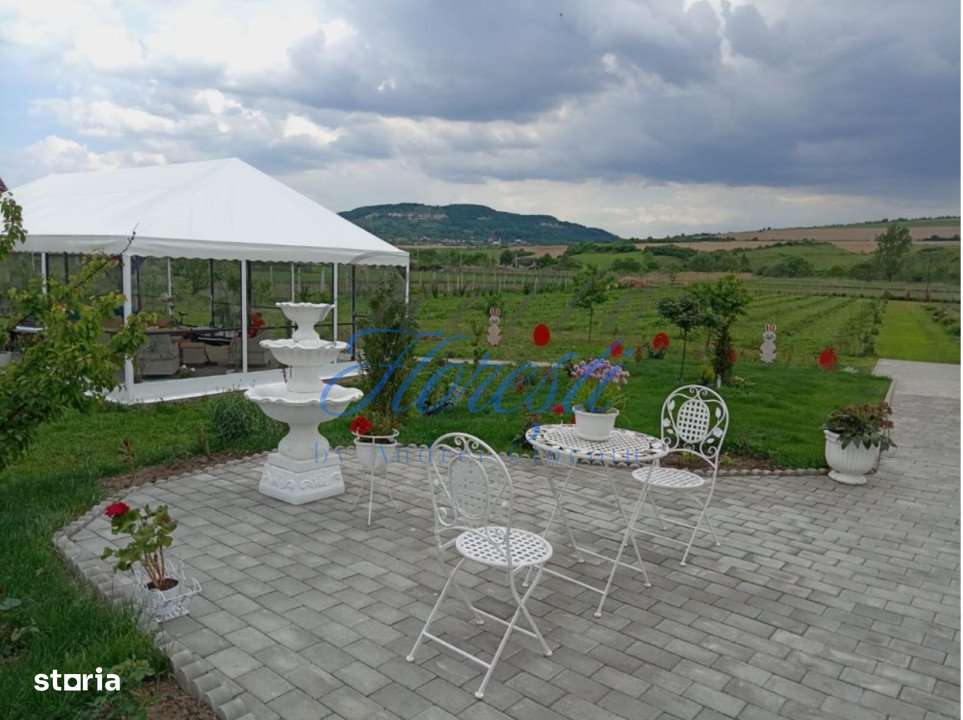 Casa 3 camere + plantatie de zmeura, 200 mp, Fodora, Cluj - Imagine principală: 3/7