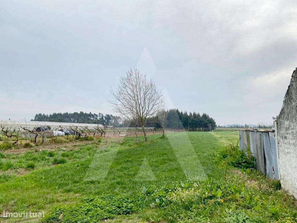 Terreno em São Bernardo - Grande imagem: 2/8