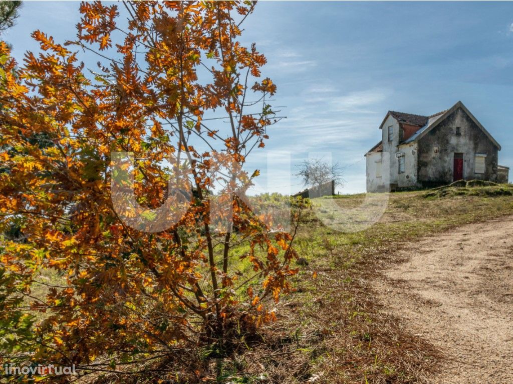 Quinta com 4,3 ha para venda na encosta sul da Serra da E...