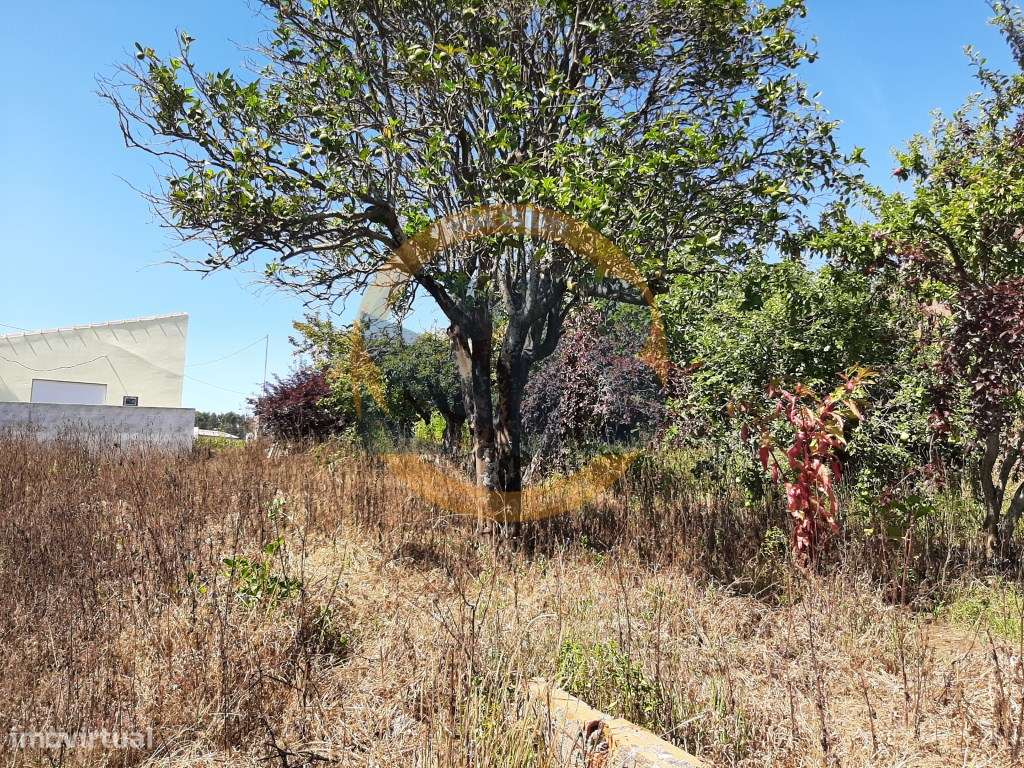 Vende se Terreno São João Ovar - Grande imagem: 5/6