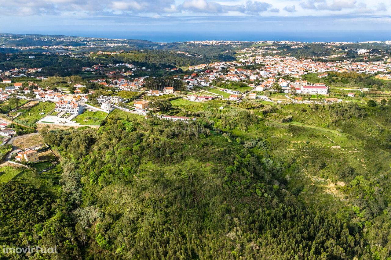 TERRENO MISTO COM POSSIBILIDADE DE CONSTRUÇÃO COM 25.250m2