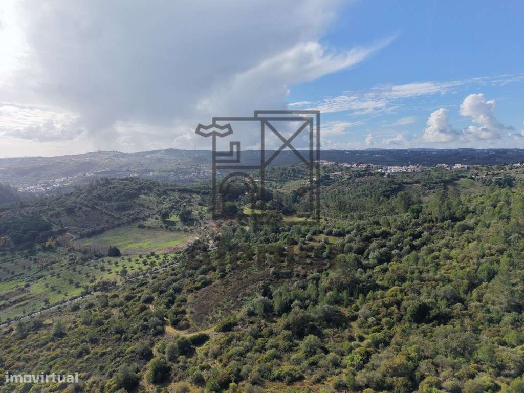 Oportunidade Única de Investimento Agrícola em Alenquer-7