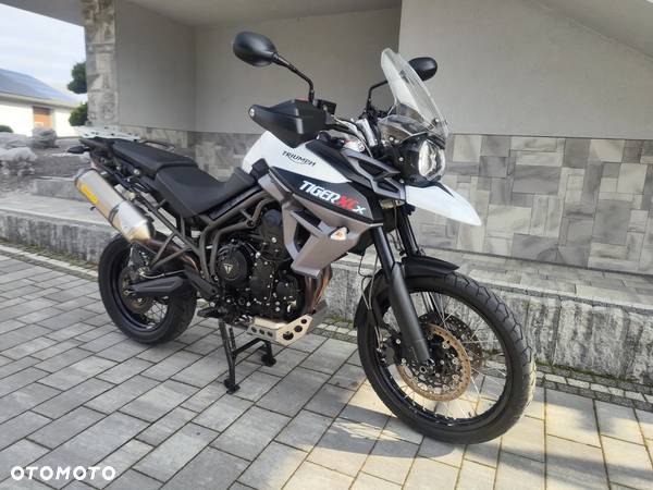 Triumph Tiger - 29