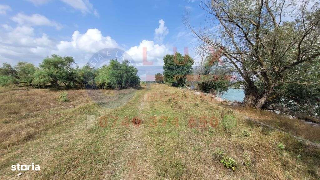 ID 7577 Teren INTRAVILAN in Delta Dunarii - Imagine principală: 5/5
