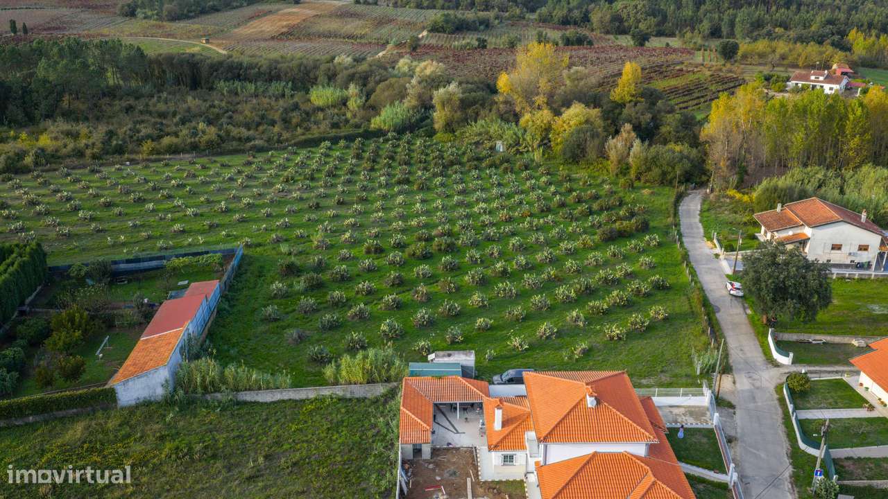 TERRENO– SANGALHOS, ANADIA-5