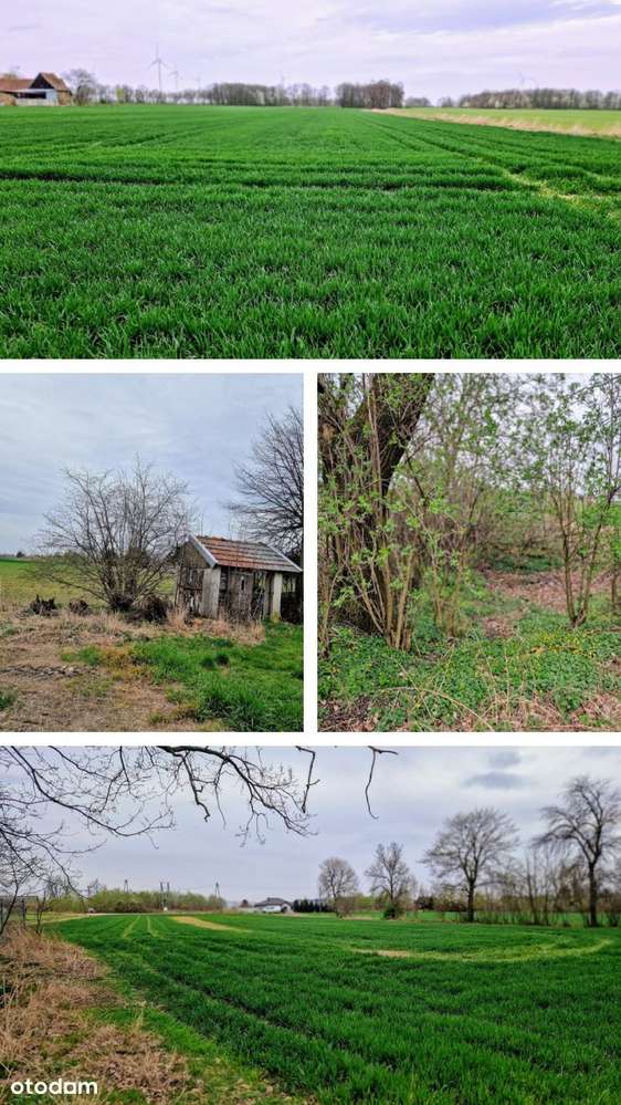 Spokojne miejsce pod agroturystykę-9