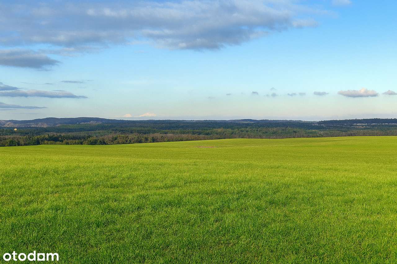 Działka budowlana z wyjątkowo urzekającym widokiem Blisko Gdańska i S7 - Pełny obrazek: 5/6