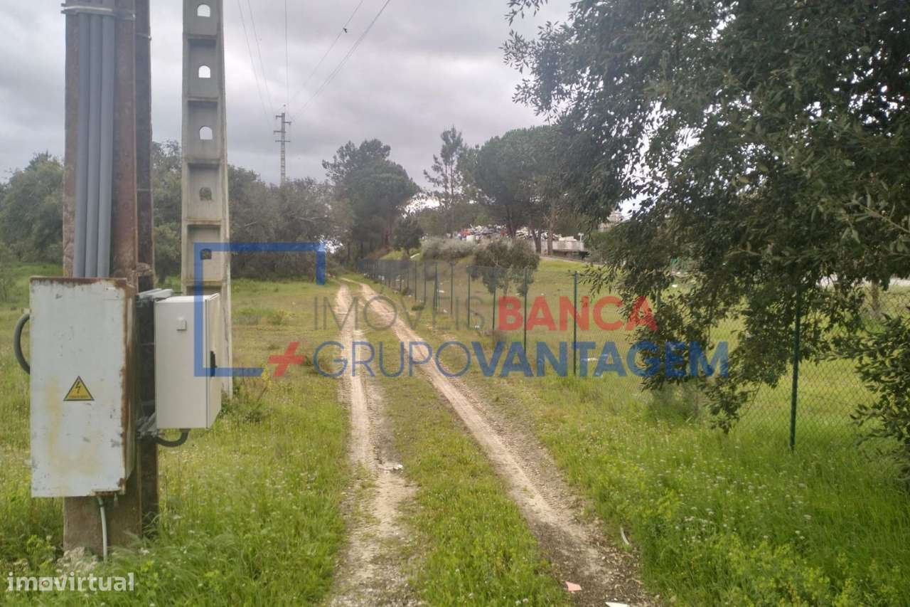 Terreno Rústico em Salvaterra de Magos - Grande imagem: 4/6