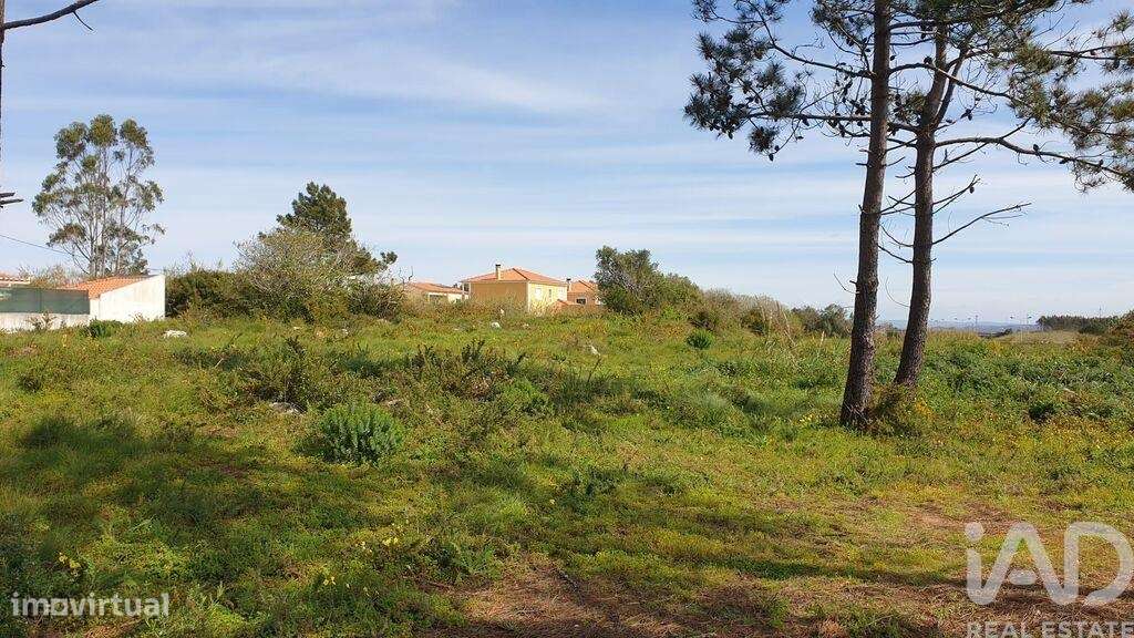 Terreno Agrícola em Olho Marinho de 7404,00 m2 - Grande imagem: 5/13