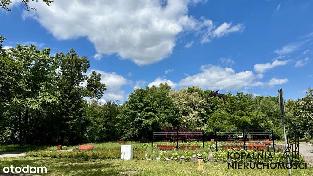 Przestronne mieszkanie w zielonej okolicy - Pełny obrazek: 5/6