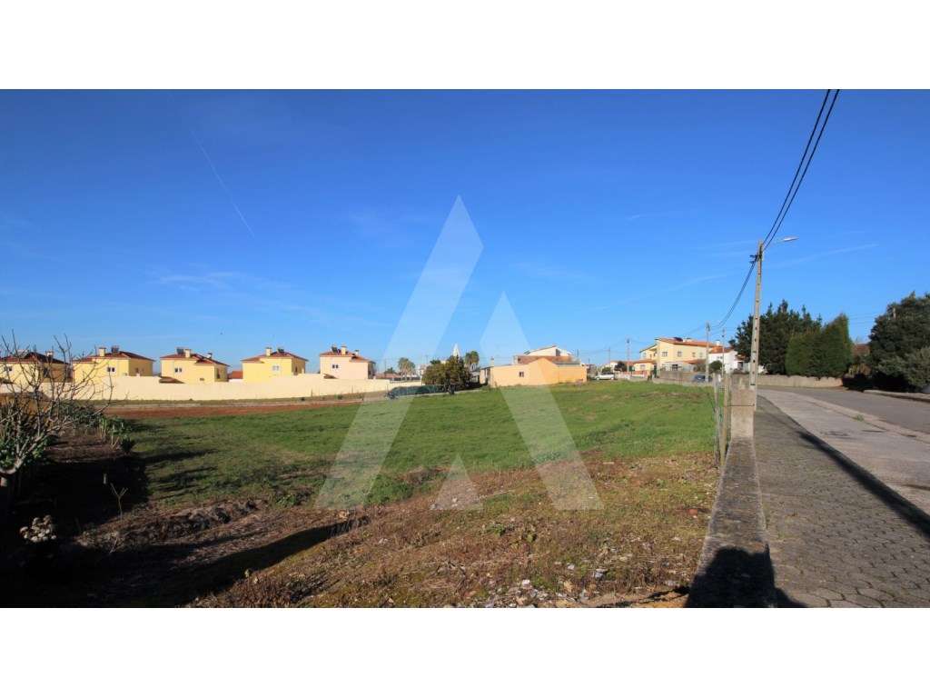 Lote para construção de moradias na Carregosa - Grande imagem: 3/8