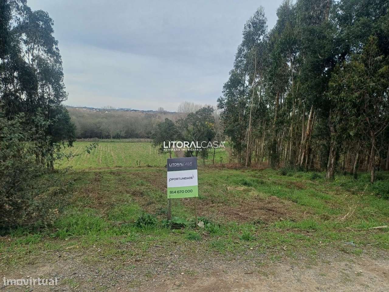 Terreno | Horta - Eixo - Grande imagem: 2/16