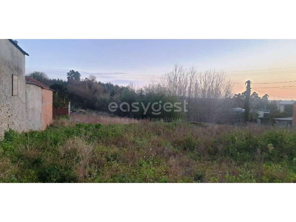 Espetacular Terreno propicio para construção e cultivo em Mamodeiro - Grande imagem: 2/12