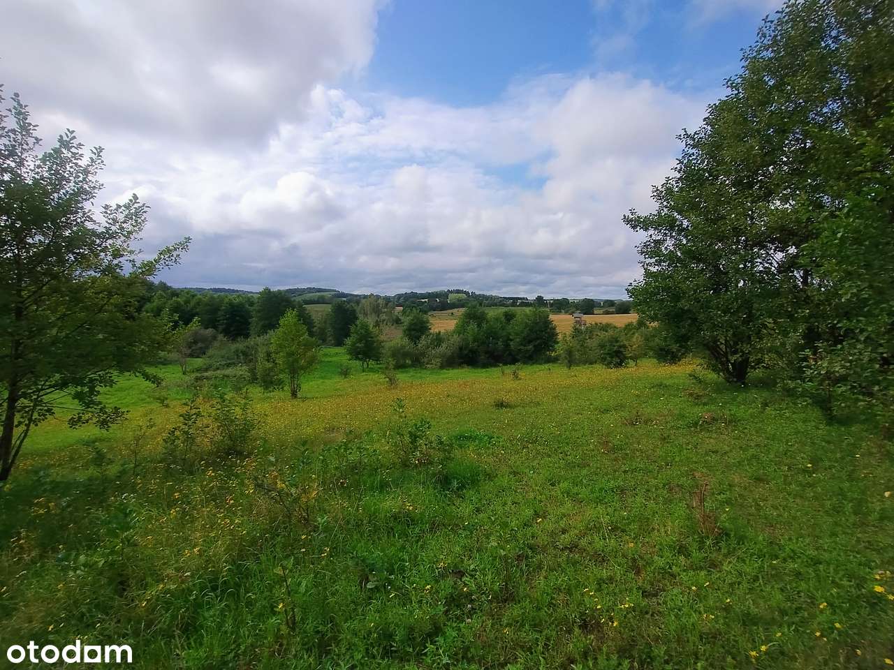 Działka z przeznaczeniem wypoczynkowym w pięknej okolicy - Pełny obrazek: 4/6