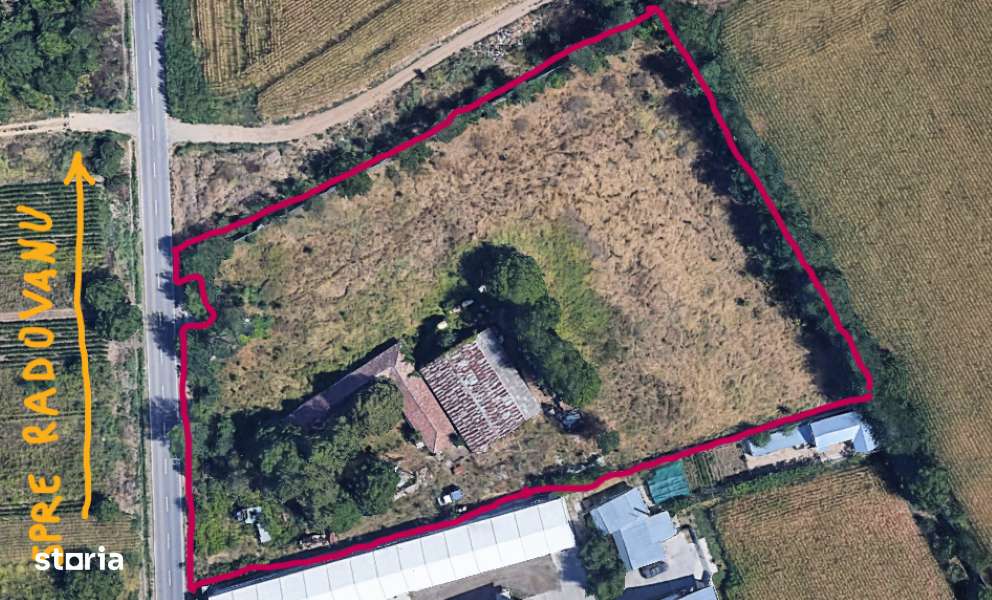 Teren intravilan 9970 mp, com. Chirnogi, jud. Calarasi - Imagine principală: 2/8