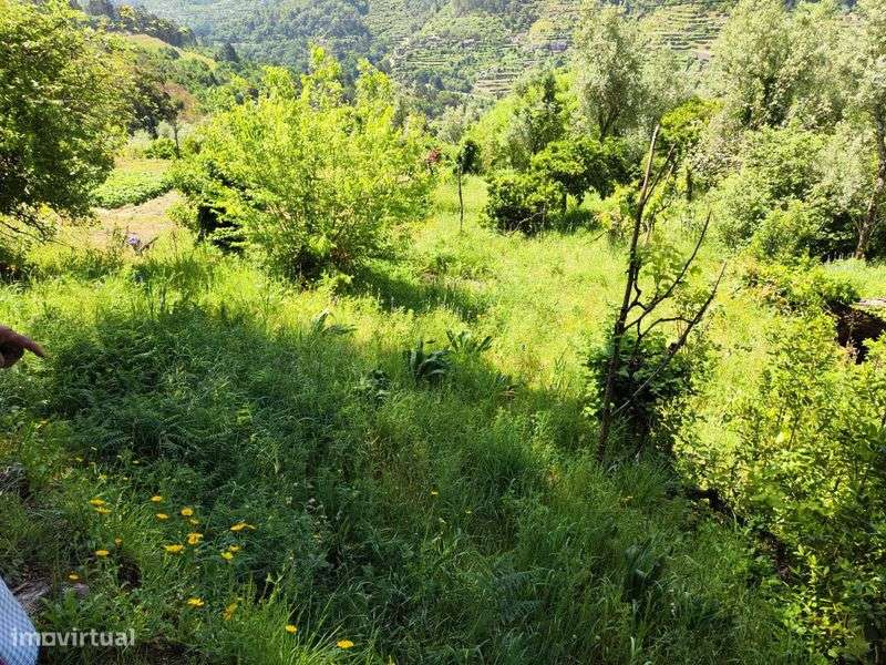 vende-se imóvel/terreno - Grande imagem: 3/11