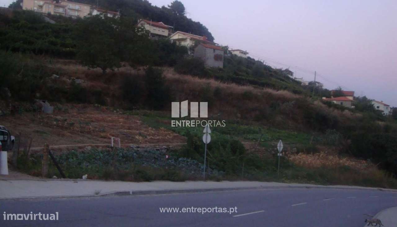 Venda Terreno, Santa Marinha do Zêzere, Baião - Grande imagem: 5/8