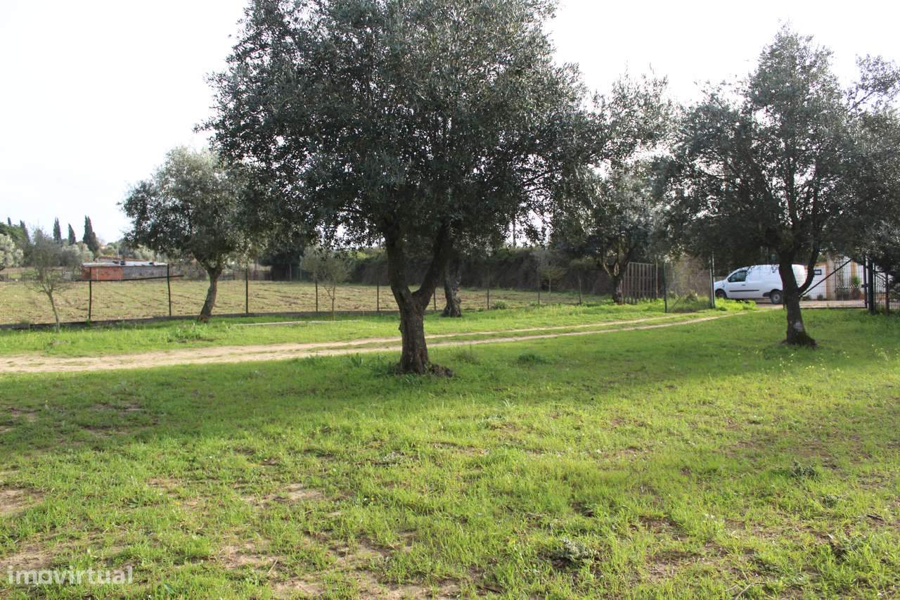 Moradia T2 com Jardim no Campo-3