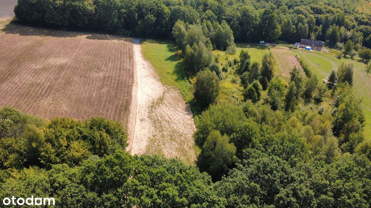 Działka z WZ Borek Stary gmina Tyczyn-5