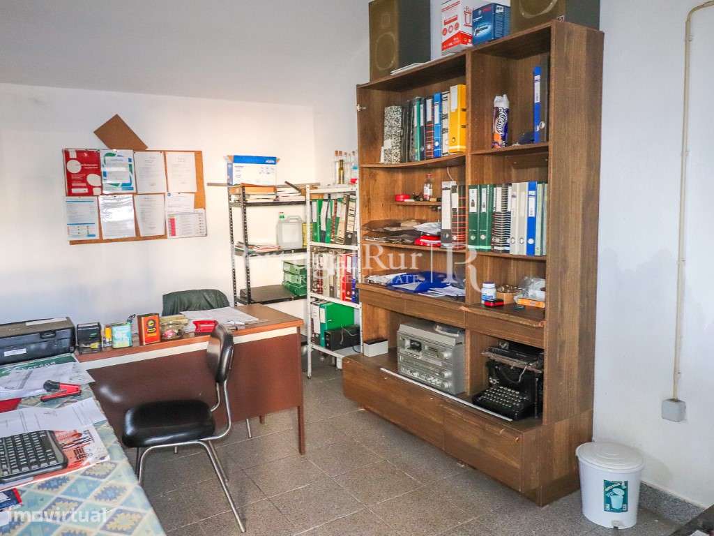 Unidade Industrial de Produção de Azeite & Elevado Potencial Produtivo-46
