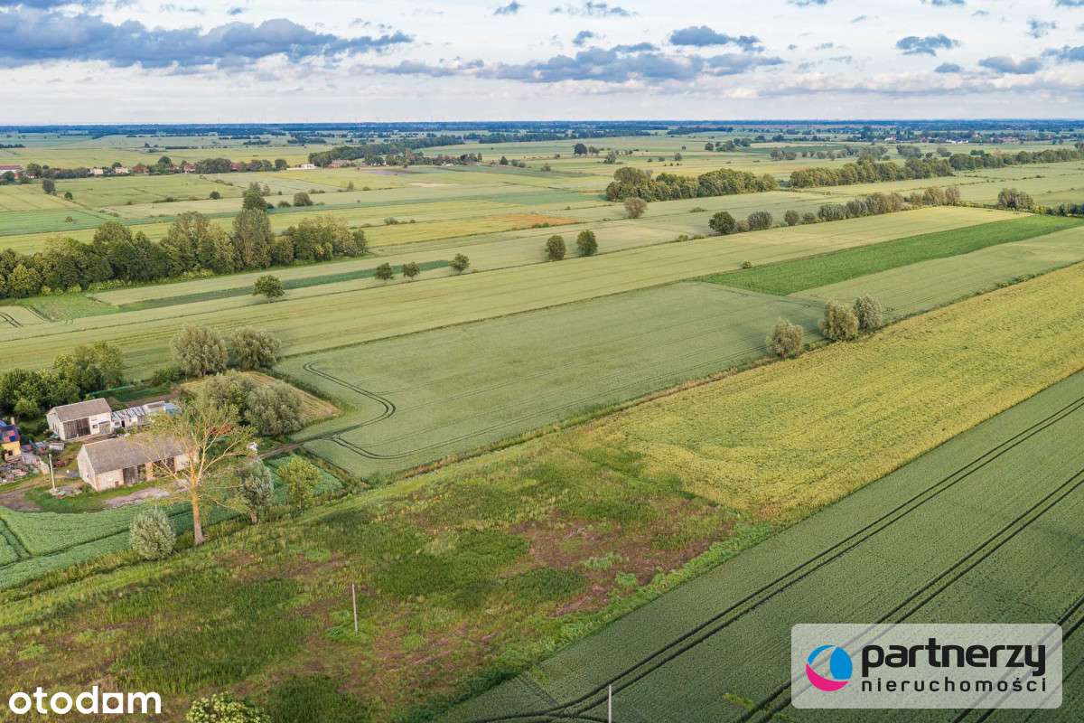 Południowa | Brak sąsiadów | Mpzp | Prostokątna - Pełny obrazek: 5/11