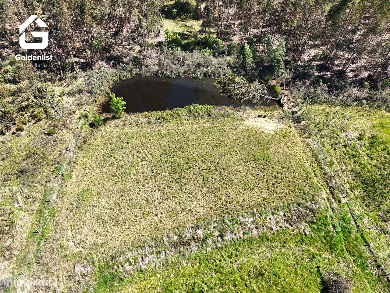 Quintinha  Venda em Fratel,Vila Velha de Ródão-16