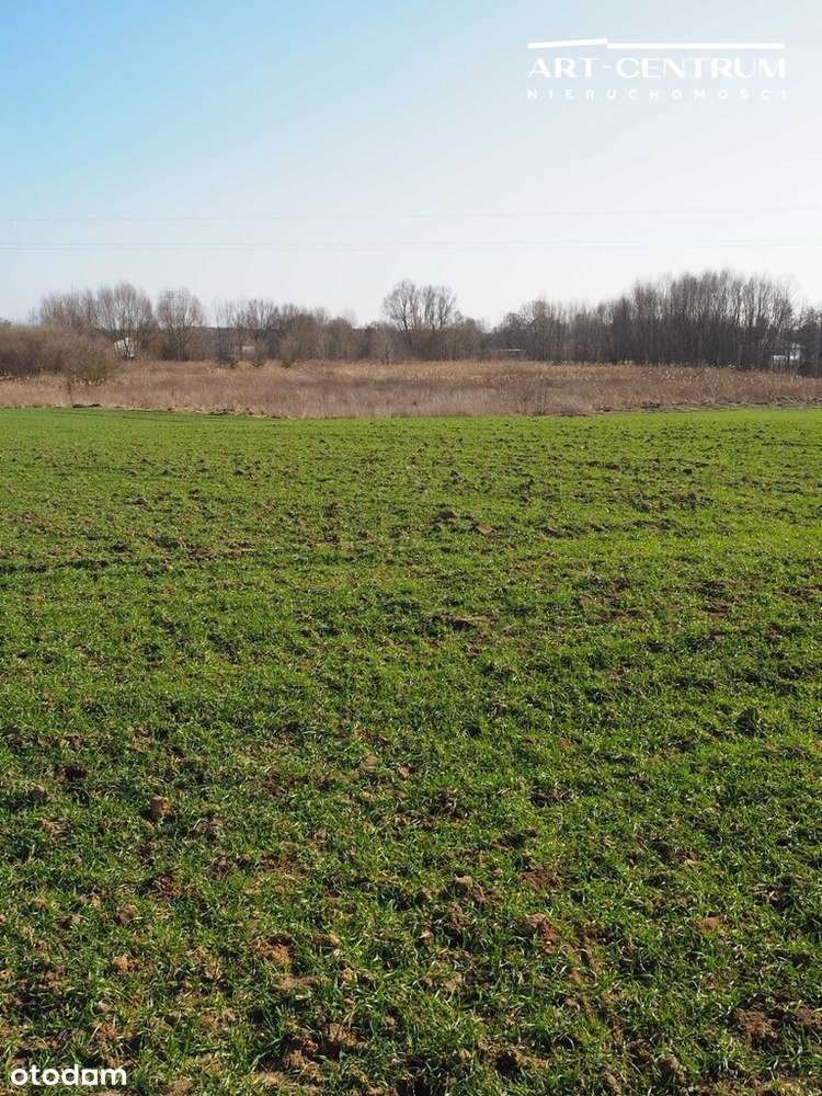 3586 m² Przestrzeń i świetna lokalizacja! - Pełny obrazek: 2/4