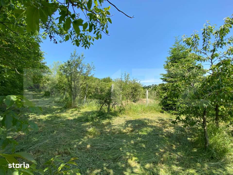 Teren intravilan de vanzare – 30 ari – Zona Podul Jelnei – prive - Imagine principală: 3/4