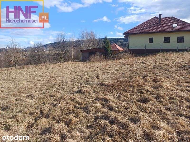 Działka budowlana 16ar Cieniawa - Pełny obrazek: 4/16