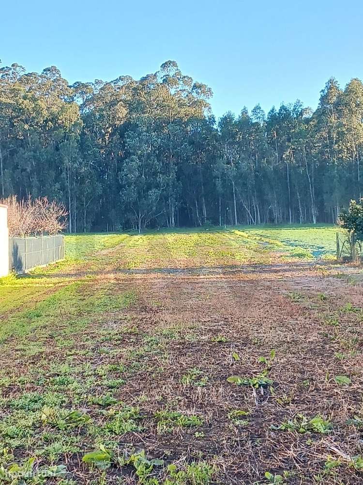 Terreno Misto plano em Guilhovai / Ovar com 4.674 m2 e Projeto aprovad - Grande imagem: 4/14