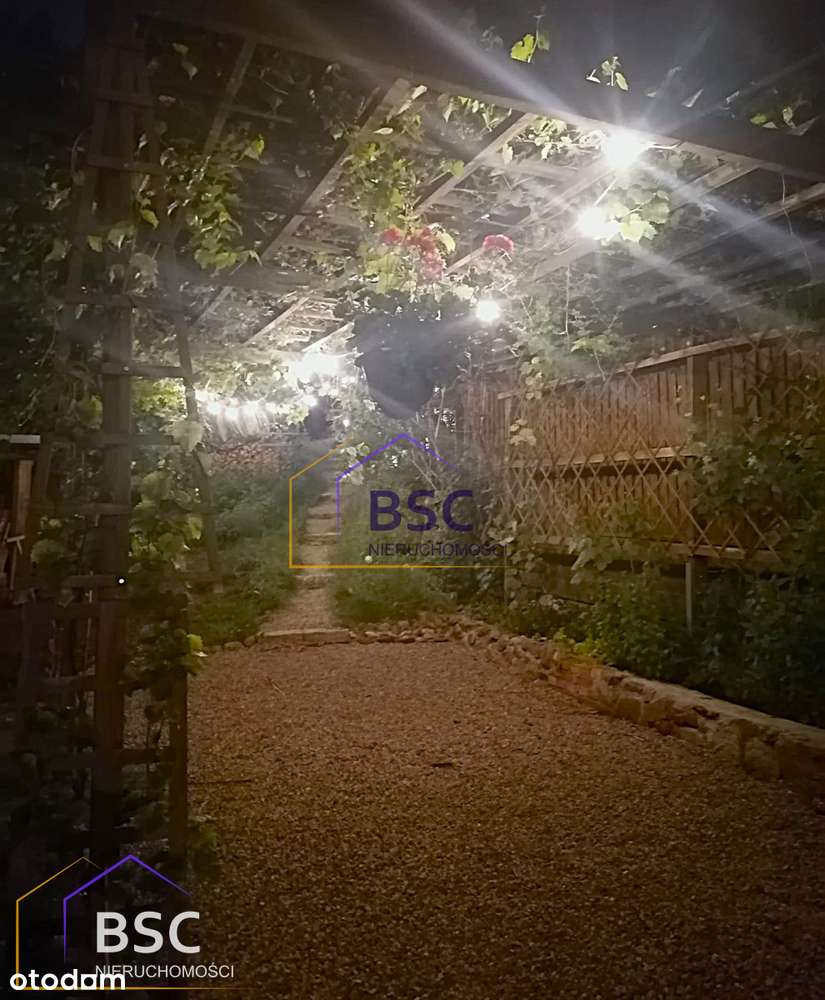 Bajkowy widok na jezioro w 1 linii brzegowej-10