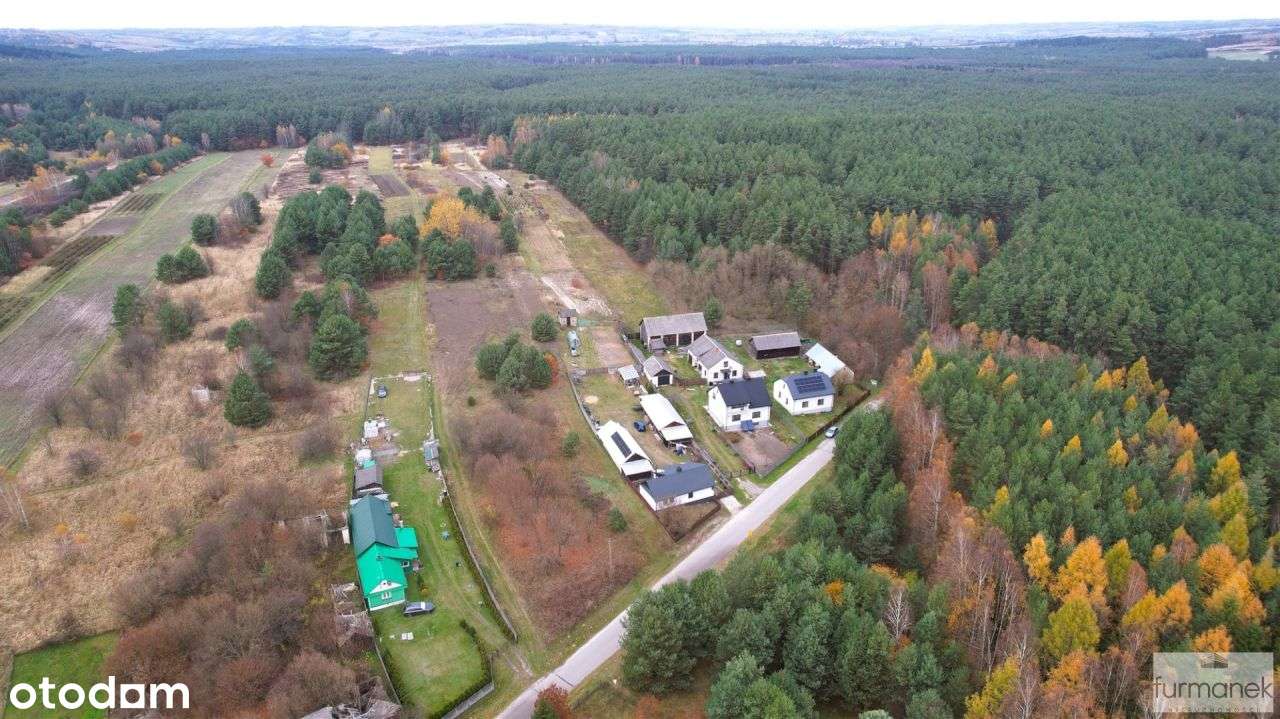 Tereny rolne i leśne w gminie Biłgoraj - Pełny obrazek: 5/16