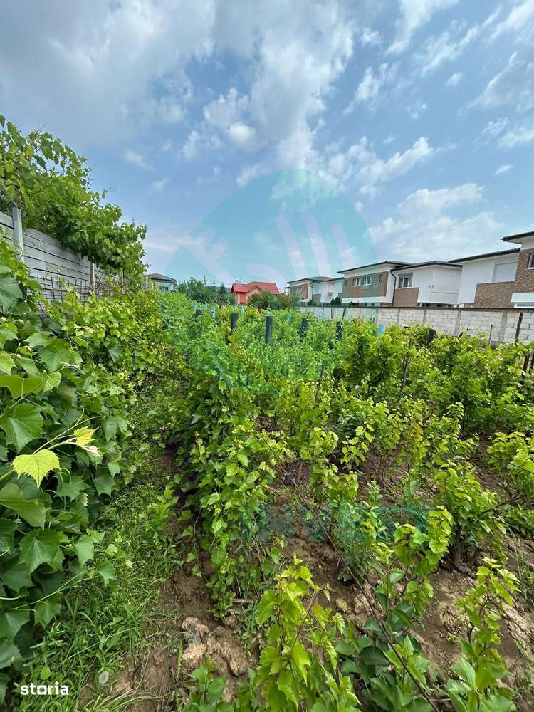 Teren cu utilități,  zonă în dezvoltare – Popești - Imagine principală: 5/8