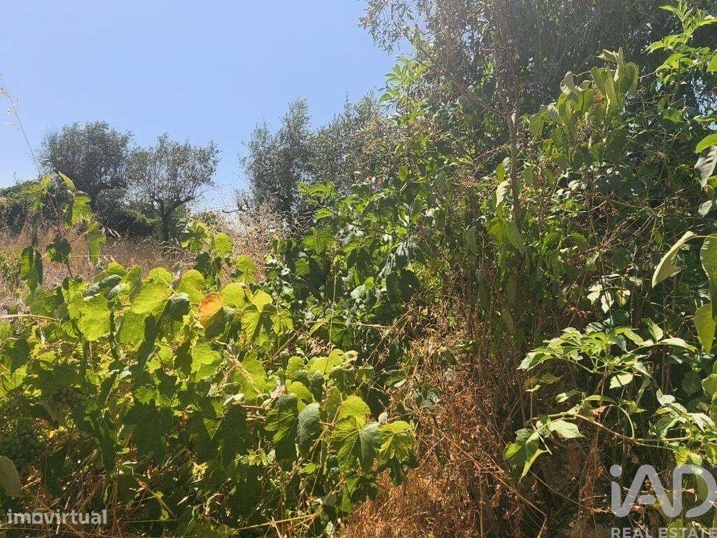 Casa / Villa em Travancinha de 157,00 m2 - Grande imagem: 4/21