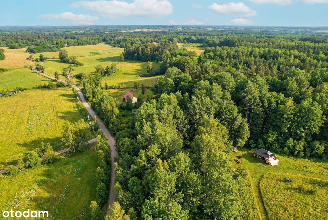 Działka 3000 m² z WZ przy lesie  Jelonek, Mazury - Pełny obrazek: 5/7