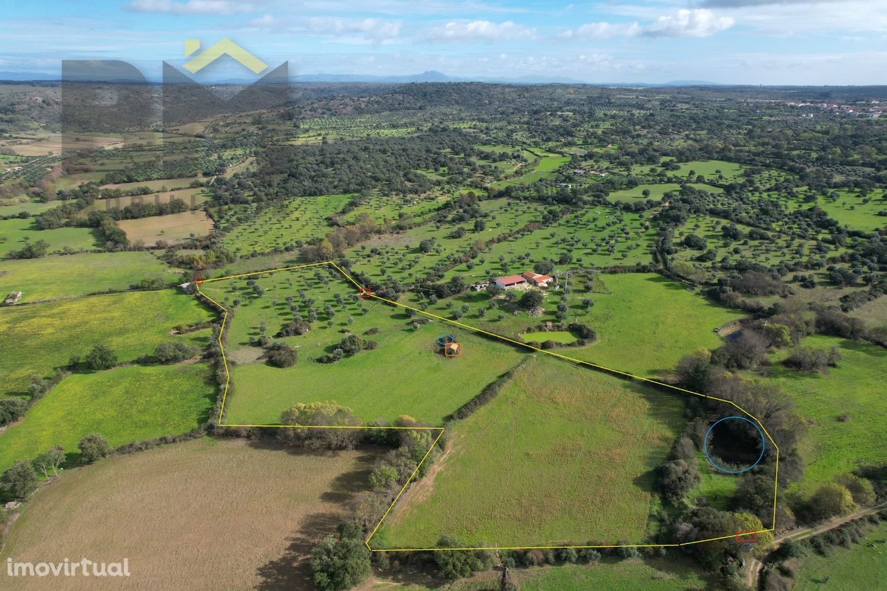 Quinta  Venda em Oledo,Idanha-a-Nova