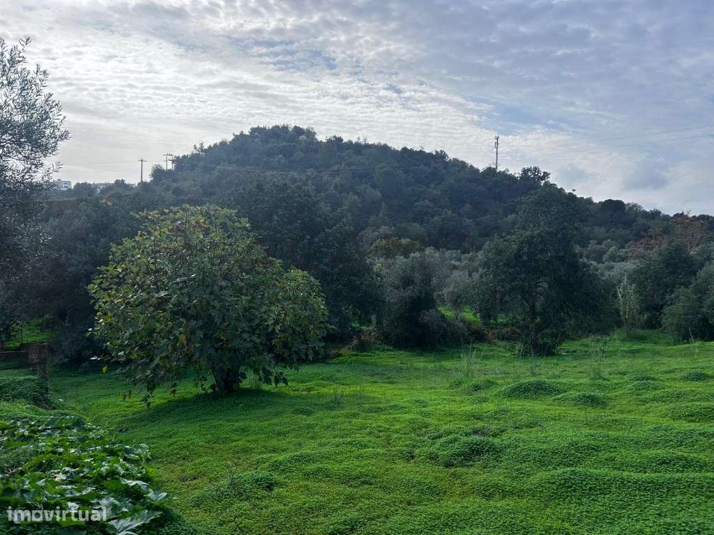 Terreno em Salir com viabilidade de construção-5