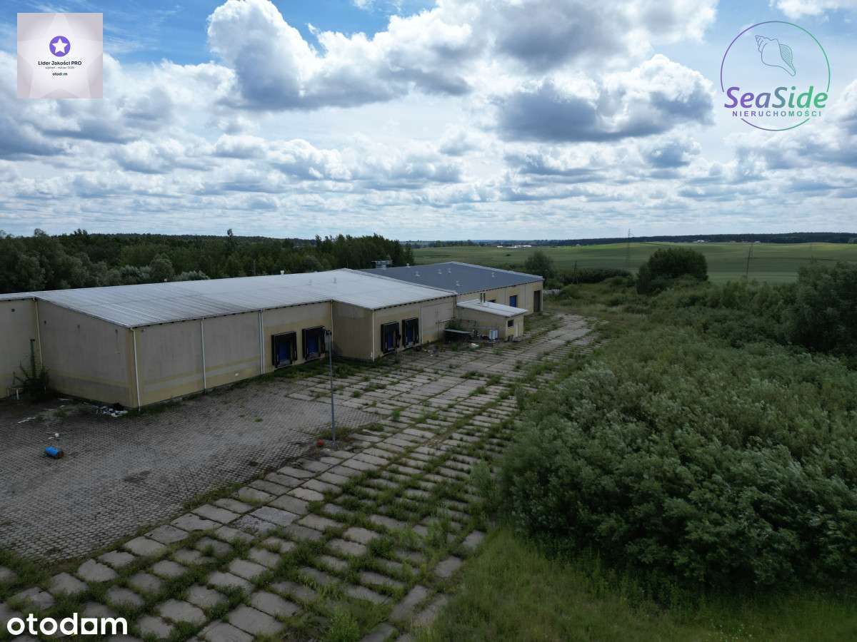 Obiekt przemysłowy 5 km od autostrady A1 !!! - Pełny obrazek: 5/9