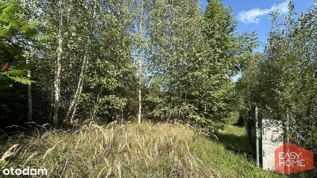 Cudowne miejsce w pobliżu jeziora i lasu-9