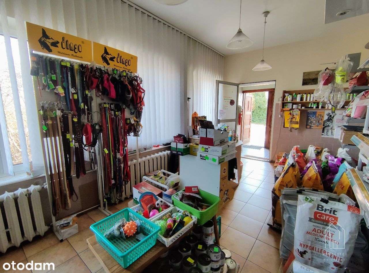 Lokal usługowy 130 m² - przychodnia weterynaryjna - Pełny obrazek: 4/16