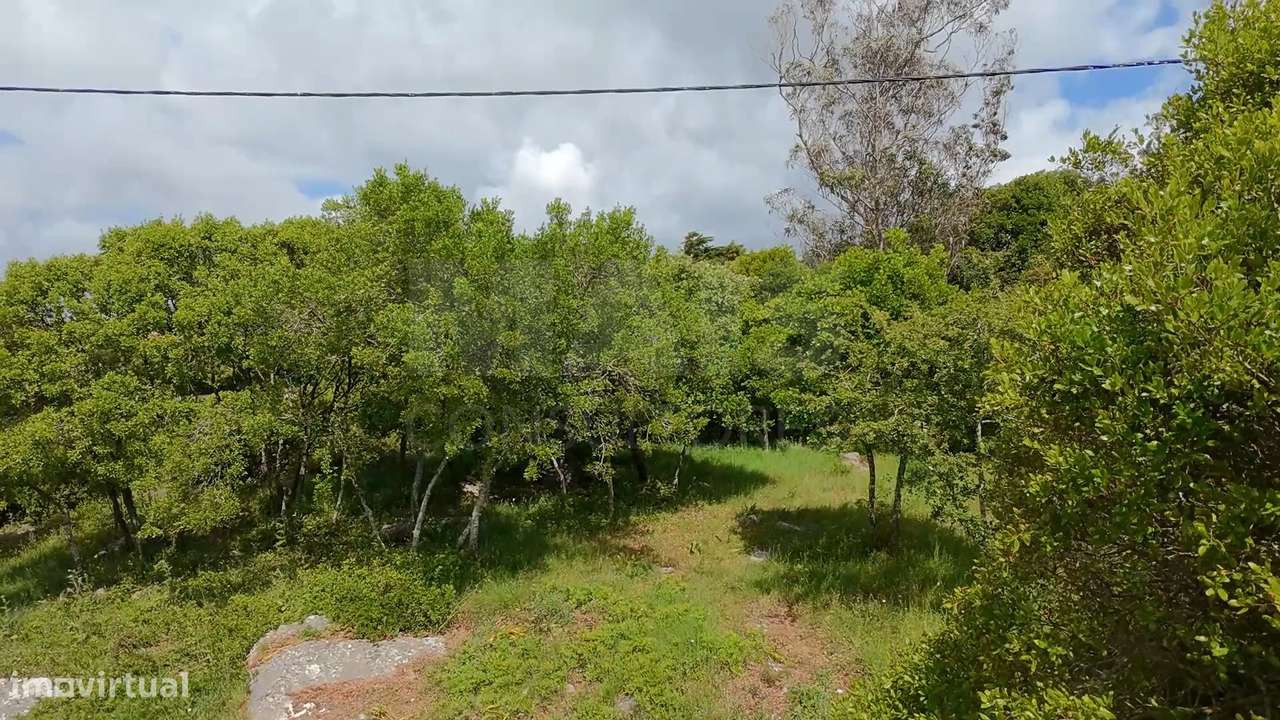 2 Terrenos Confinantes  "Construção de Moradias Isoladas ou Ge...-13