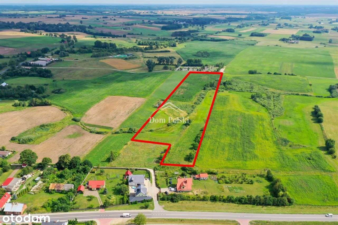 Działka rolna 3,7807 ha w Kalinowie - Pełny obrazek: 4/14