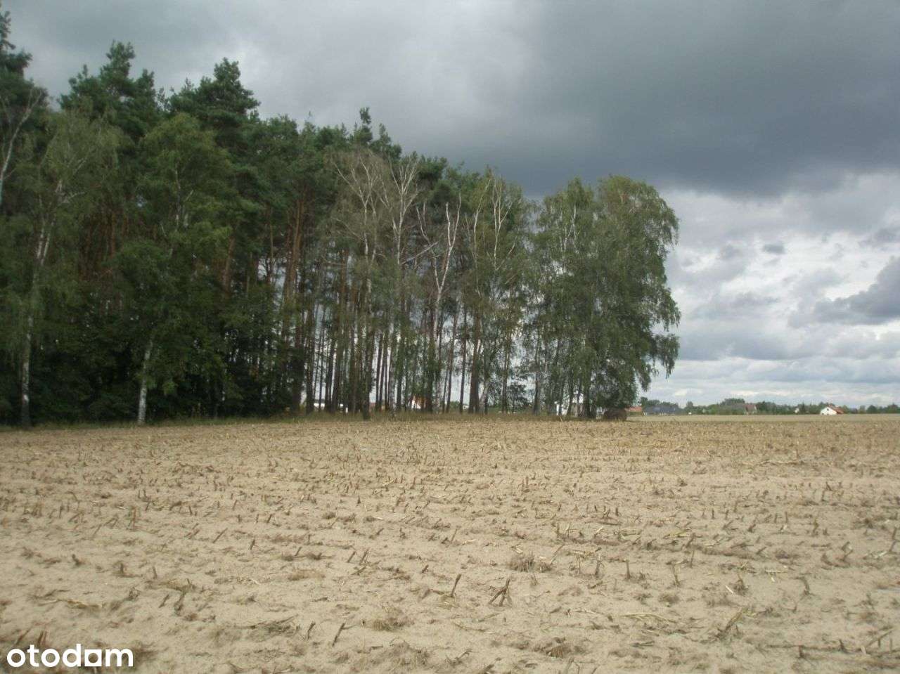 działka Zielątkowo Sepno - Pełny obrazek: 2/3