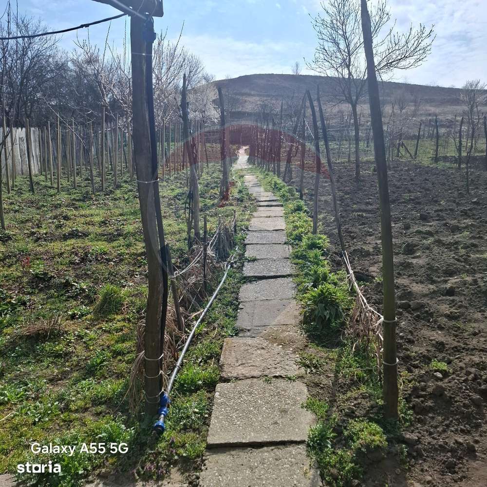 Casă cu 3 camere aproape de Medias in loc. Tarnava str. Dumbravii 58-9