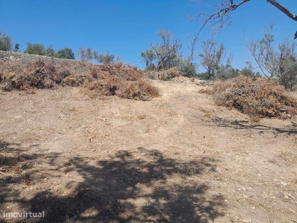 Terreno Rústico em São Clemente, Loulé, Algarve - Grande imagem: 3/16