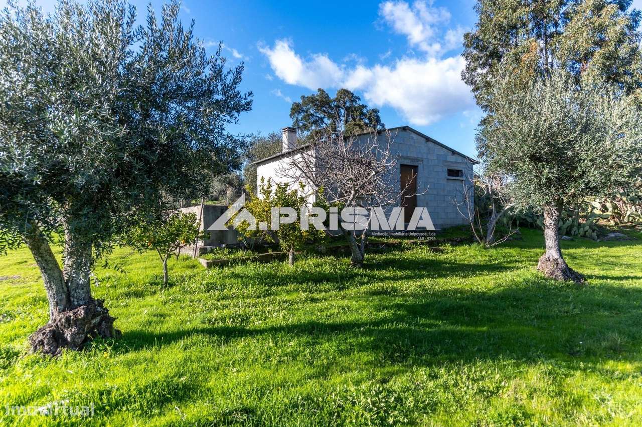 Quinta para venda em Escalos de Cima-25