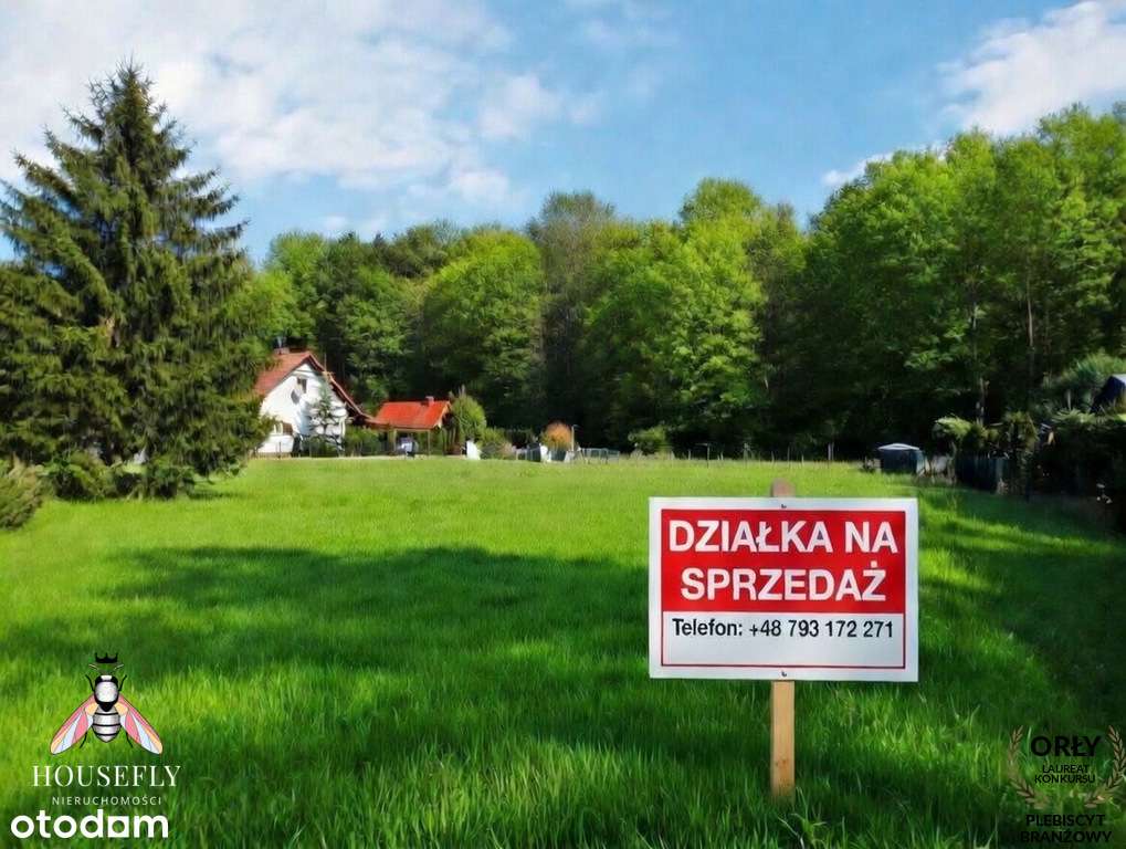 Działka Kużnica Głogowska przy lesie-0