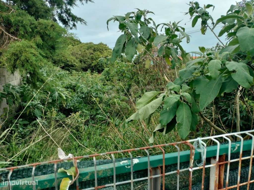 Invista no paraíso: terreno em Porto Martins, Ilha Terceira - Grande imagem: 2/15
