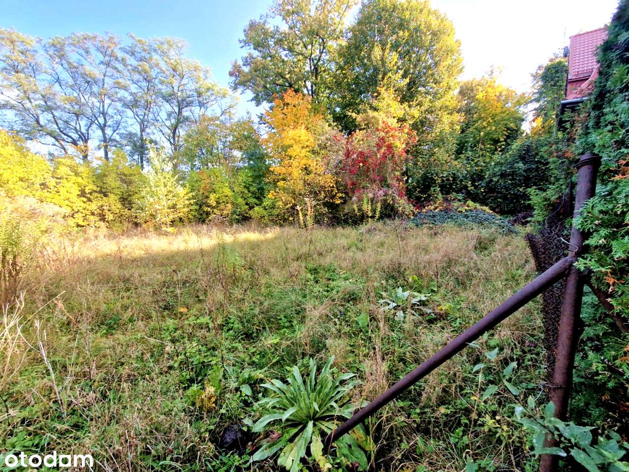 Piechcin/ 48,3m2 / 1 PIĘTRO / 2 DUŻE POK/ Piękna zielona okolica - Pełny obrazek: 4/13